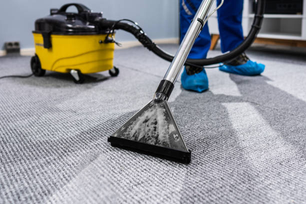 Professional Carpet Cleaning Brisbane